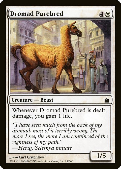 Dromad Purebred|Ravnica: City of Guilds|15