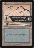 Swamp