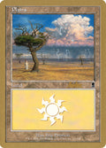 Plains