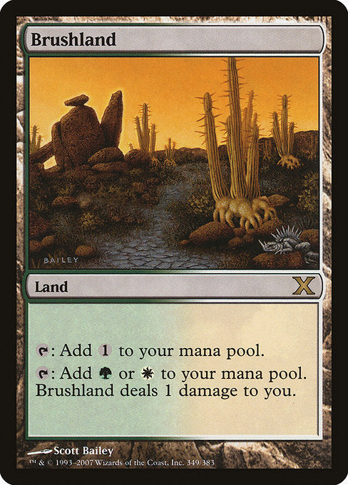 Brushland|Tenth Edition|349