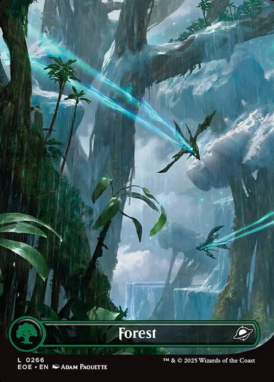 Forest