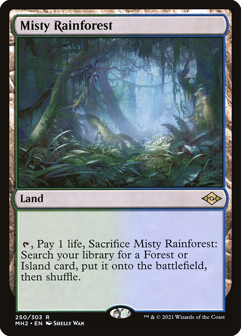 Misty Rainforest|Modern Horizons 2|250