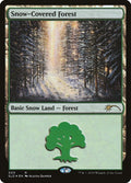 Snow-Covered Forest
