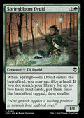 Springbloom Druid