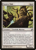 Sentry Oak