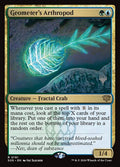 Geometer's Arthropod