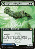 Augmenter Pugilist // Echoing Equation