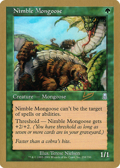 Nimble Mongoose