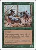 Aurochs