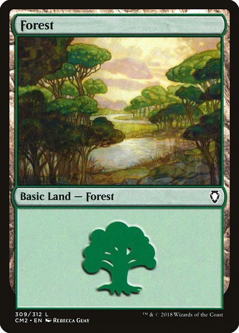 Forest