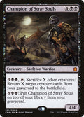 Champion of Stray Souls