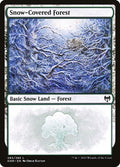 Snow-Covered Forest