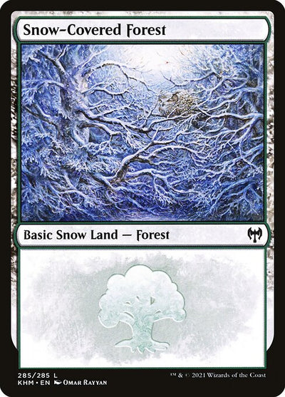Snow-Covered Forest